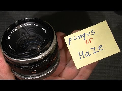 Ano ang gamot na gagamitin kapag kuko halamang-singaw Paa halamang-singaw paggamot sa mga bata mga larawan