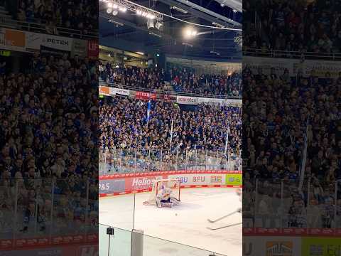 Wild Wings gegen München 6 : 0 🏒 Schwenningen