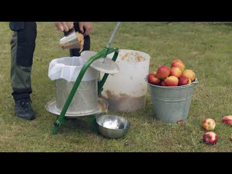 Gör egen äppelmust - Så använder du fruktkross och fruktpress - Landshopping.se