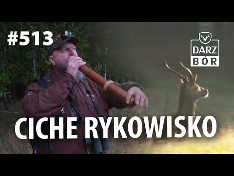 Darz Bór odc 513. „Polowanie na jelenie w Rykowisko”