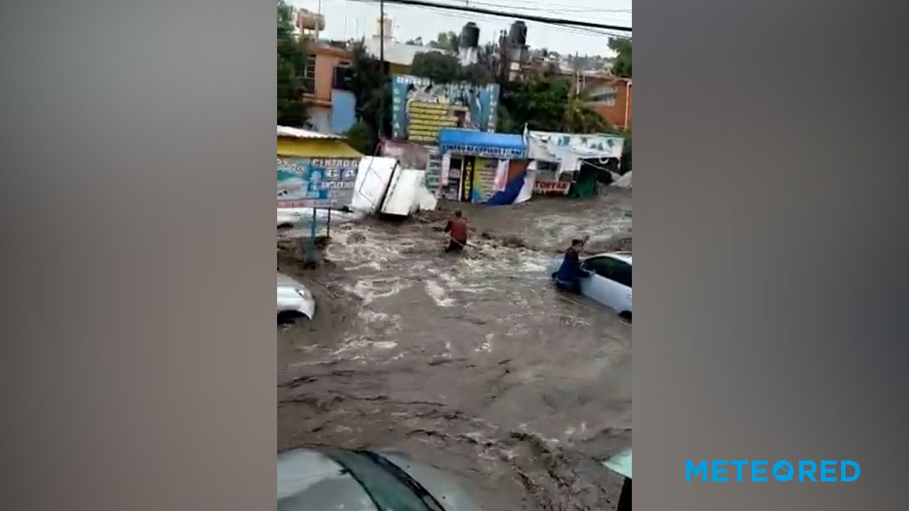 youtube video id=9MgPEDAKhnI