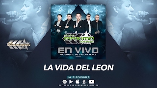 La Vida Del León - Maximo Grado (En Vivo Ok Corral De Dallas Texas) MG Corporation