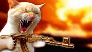 Sonata Arctica - The Gun