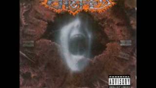 Broken Hope-Pitbull grin