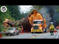 Extreme Dangerous Big Logging Wood Truck Driving Skill Fastest Chainsaw Cutting Tree Machines 9
