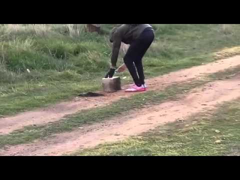 Champion n3 en bloque de hormigón