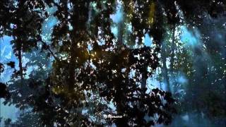 Richard Hawley - Darlin' Wait for Me (HD, HQ) + lyrics