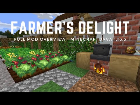 Farmer's Delight! - Full Mod Overview | Minecraft Java 1.16.5