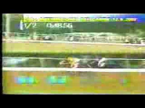 Clasico del Caribe 2002