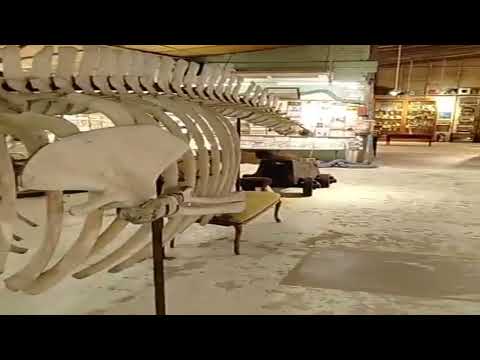 Conociendo el Museo del Mar - El Tesoro, Maldonado (Uruguay) - Agosto 2025