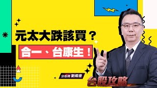 元太大跌該買？合一、台康生！ (圖)