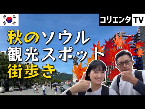 [Passeios turísticos de outono em Seul] Apresentando locais recomendados para ver as folhas de outono! Palácio Deoksugung Palácio Gyeongbokgung Samcheongdong Coreia Viagem