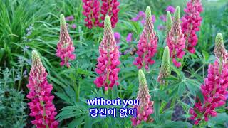 Like a Sad Song - John Denver: with Lyrics(가사번역)|| John Denver Sanctuary, Aspen, CO on June 11, 2017