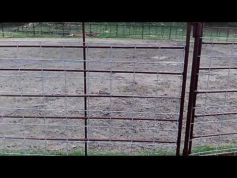 Cattle Round Pen