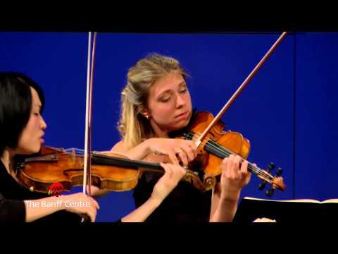 BISQC 2013 - Anima String Quartet - Joseph Haydn Quartet in C Major