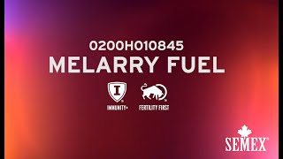 Download lagu 0200HO10845 Melarry Fuel Dec 2020 mp3