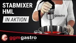 Mixeur plongeant professionnel - avec pied fixe - pied 200mm - 250 W - 2 vitesses