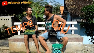 Download lagu Tempe Vs Ciu II #ngobrok official Ft Mlekoki  II komedi ngapak mp3
