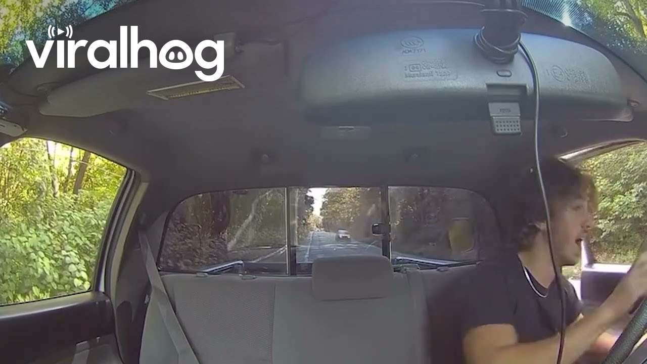 Truck Bed Cover Flew Off || ViralHog