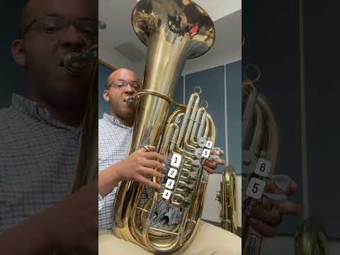 Six valves! More valves, more fun! #tuba