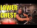 BIG LOWER PECS! 3 Simple Steps [Chest Muscle Exercises]