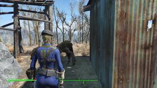Fallout 4_removing dead bodies from settlements
