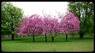 Lisa Hannigan - O Sleep | HibOO d&#39;Live