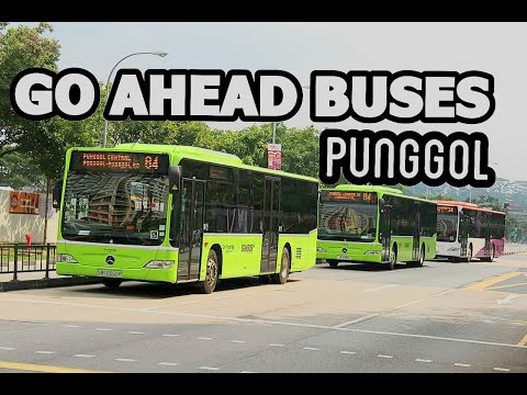 GO AHEAD BUSES ON THE MOVE (PUNGGOL)