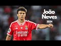João Neves: Example for CDM | Goals & Skills | 2024
