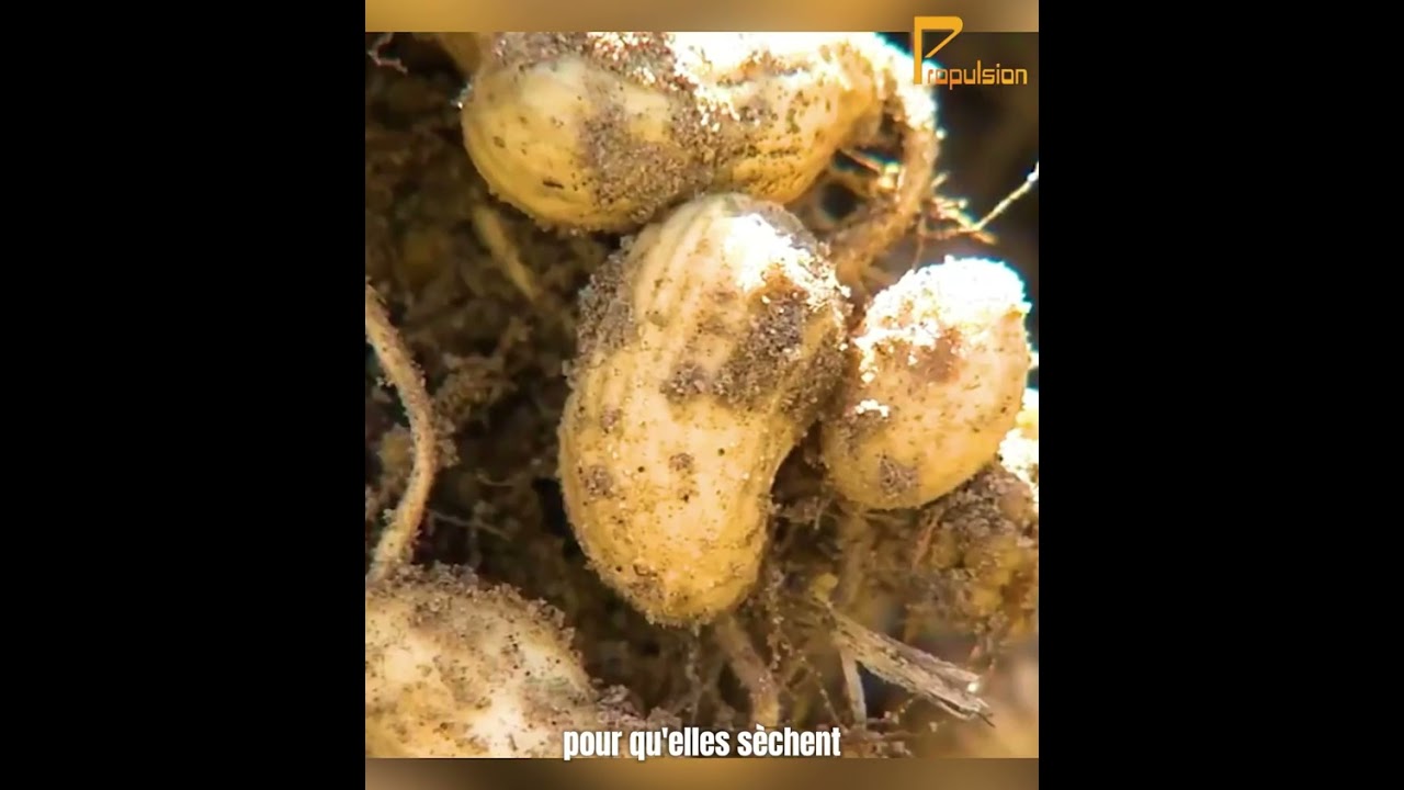 Technologie: Au cœur de l'agriculture moderne.