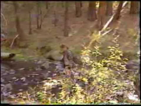 download lagu mp3 mp4 Sasha Nugent, download lagu Sasha Nugent gratis, unduh video klip Sasha Nugent