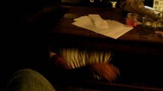 MAGGIE UNDER THE TABLE