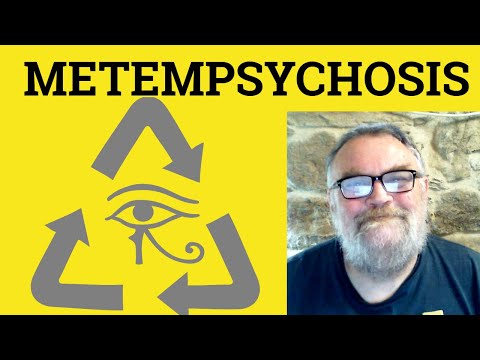 😎 Metempsychosis Meaning - Metempsychosis Defined - Metempsychosis Definition - Metempsychosis