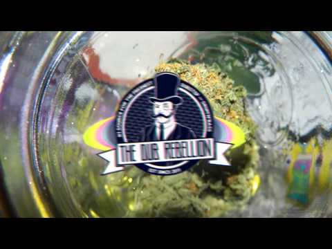 Gh0sh x Unnatural Forces - Kush Klub