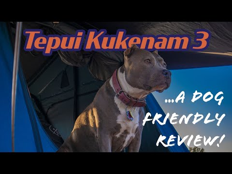 How to get your dog into Tepui Roof Top Tent on your 3rd Gen 4Runner