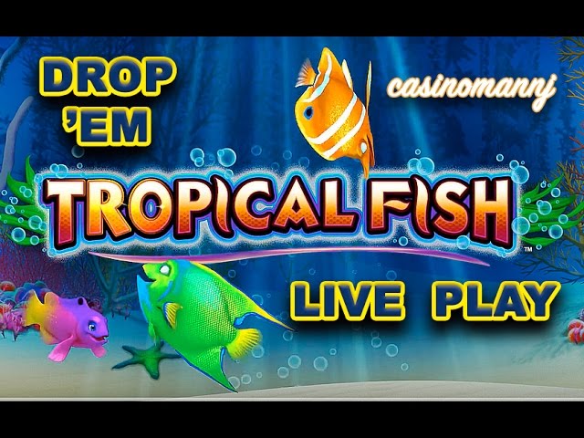 DROP 'EM - TROPICAL FISH SLOT - SLOT BONUS and PROGRESSIVE WINS! - Slot Machine Bonus