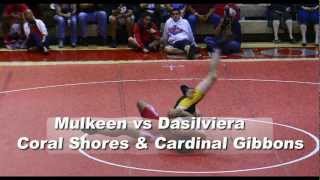 preview picture of video 'FHSAA Region 4A Wrestling Highlights 4'
