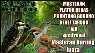 Download lagu MASTERAN FULL NEMBAK GEREJA TARUNG PIJANTUNG PLATU... mp3