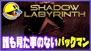 385夜【新作】パックマン45周年記念！【シャドウラビリンス】紹介がてら遊んでみたよっ！[steam]