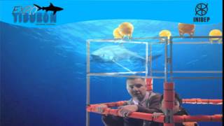 DIA 2 Expo Tiburon163