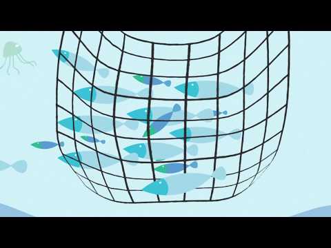 ¿Qué es la pesca sostenible MSC?