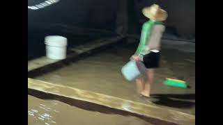 Avanzan los Trabajamos de Mantenimiento del Alcantarillado