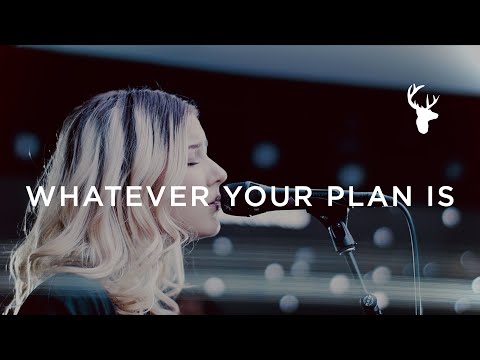 Whatever Your Plan Is - Josie Buchanan | Moment