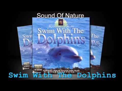 Relaxing Sounds Of Nature  - Swim With The Dolphins  (Full Album)