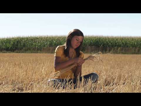 dayanmoon, dayan mooon