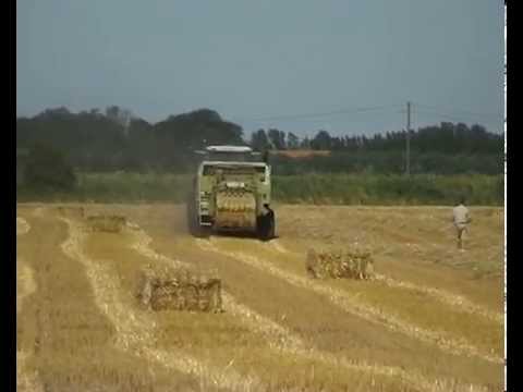 Vergauwe K&P.: Grootpakpersen.