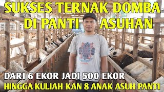 Download lagu From 6 Sheep to 500: A Success Story in Sheep Farming | Successful Farmer Stories mp3 Download lagu From 6 Sheep to 500: A Success Story in Sheep Farming | Successful Farmer Stories mp3