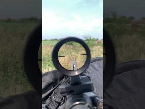 Vortex Strike Eagle Gen2 1-6x24 is awesome!