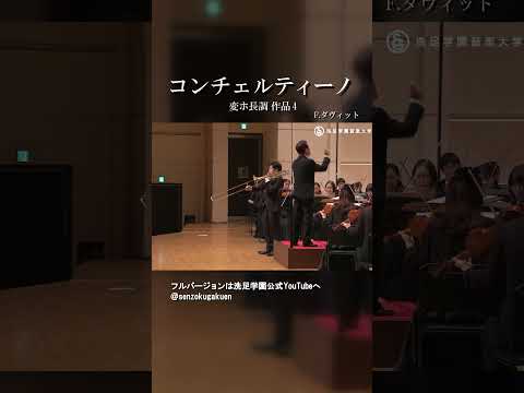 コンチェルティーノ 変ホ長調 作品4