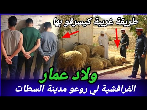 ولاد عمار، عصابة الفراقشية لي  حمقو الدرك بمدينة السطات، كيفاش حصل تحريات قصص بوليسية مغربية واقعية